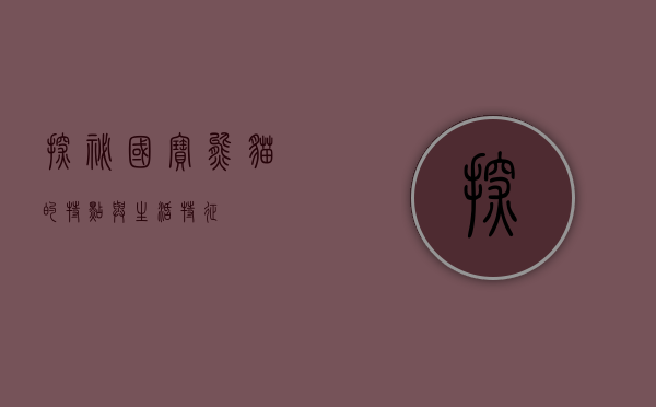探秘国宝，熊猫的特点与生活特征