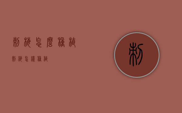刺梅怎么种植（刺梅怎样种植）