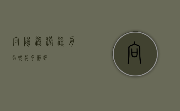 向阳渔港，渔舟唱晚，岁月静好