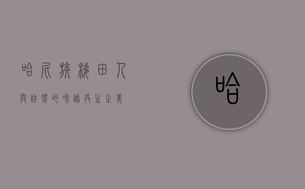 哈尼族梯田，人与自然的和谐共生之美