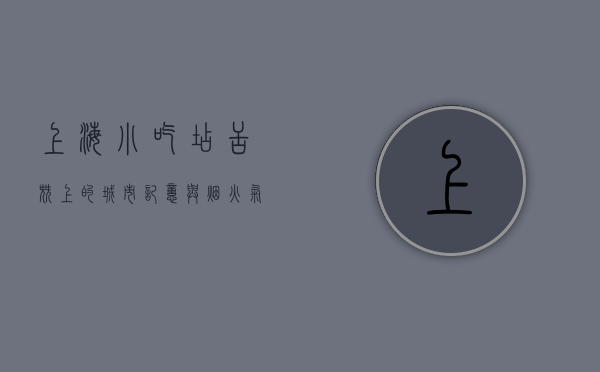 上海小吃店，舌尖上的城市记忆与烟火气