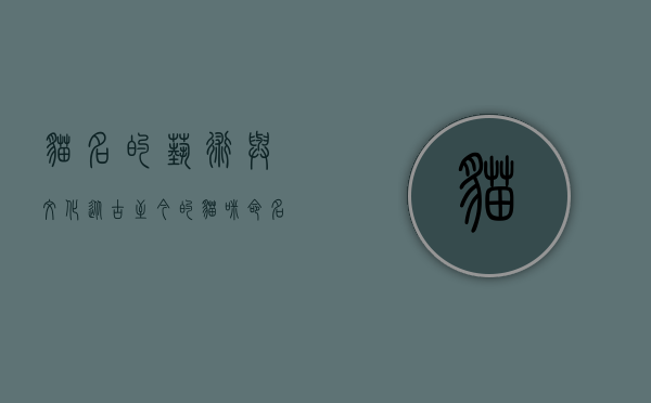 猫名的艺术与文化，从古至今的猫咪命名之旅
