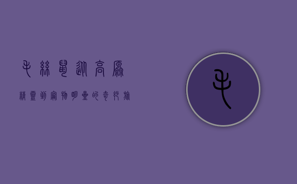 毛丝鼠,从高原精灵到宠物明星的奇妙旅程 毛丝鼠,从高原精灵到宠物明星的奇妙旅程