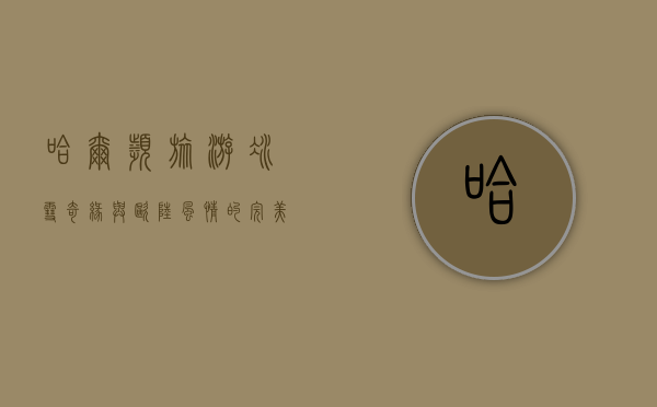 哈尔滨旅游，冰雪奇缘与欧陆风情的完美邂逅