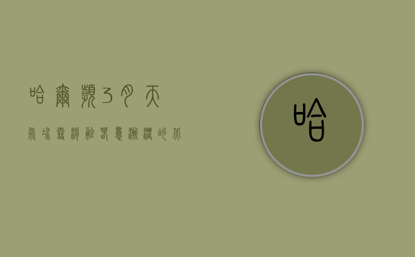 哈尔滨3月天气，冰雪消融，春意渐浓的北国风情