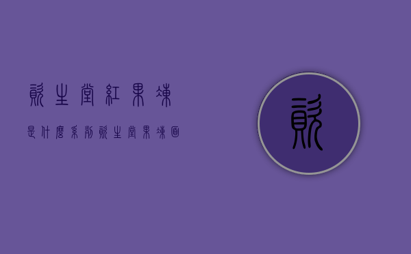 资生堂红果冻是什么系列（资生堂果冻面霜）
