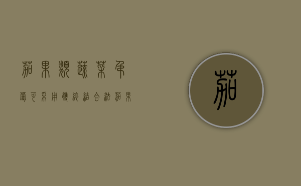 茄果类蔬菜吊蔓可采用双绳结合法（茄果类蔬菜整枝方式）