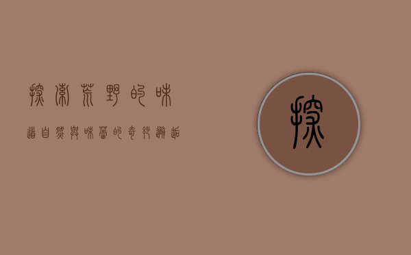 探索荒野的味道，自然与味蕾的奇妙邂逅
