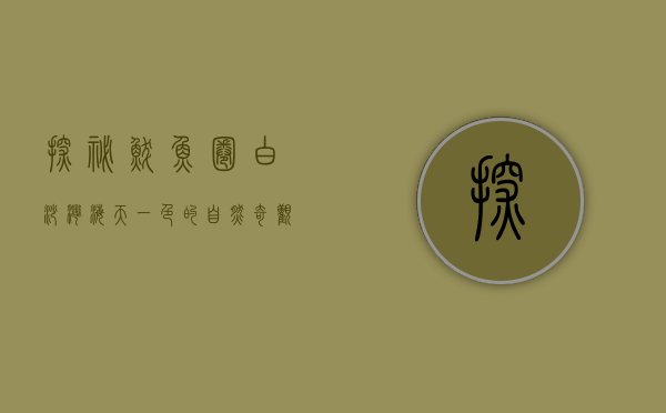 探秘鲅鱼圈白沙湾，海天一色的自然奇观与人文魅力
