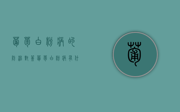 葡萄白粉病的防治对策（葡萄白粉病有什么特效药）