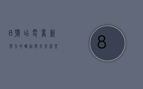 8号店，电商新势力的崛起与未来展望