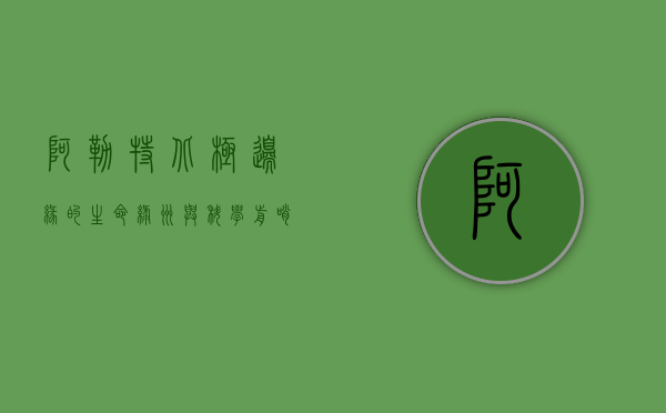 阿勒特，北极边缘的生命绿洲与科学前哨