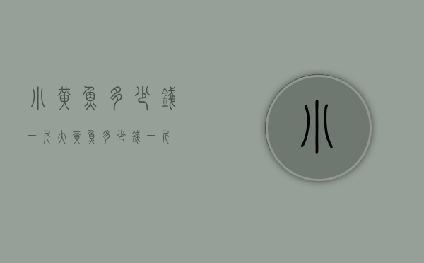小黄鱼多少钱一斤（大黄鱼多少钱一斤）