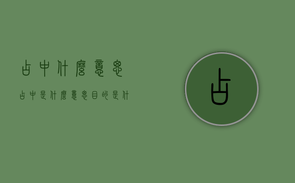 占中什么意思（占中是什么意思,目的是什么）