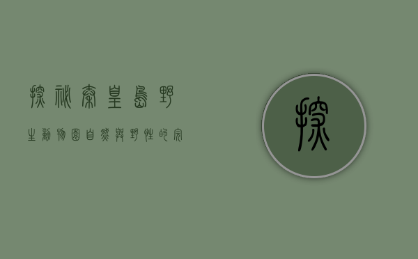 探秘秦皇岛野生动物园，自然与野性的完美融合