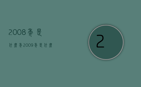 2008年是什么年（2009年是什么年）