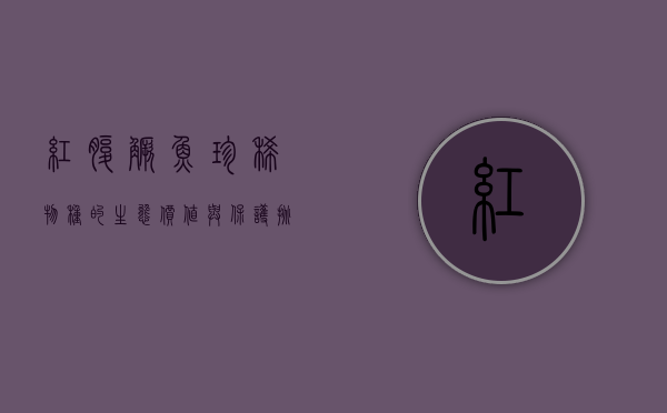 红腹鳜鱼，珍稀物种的生态价值与保护挑战