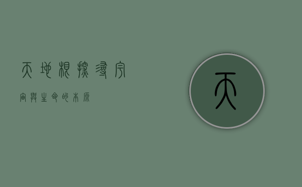 天地根，探寻宇宙与生命的本源