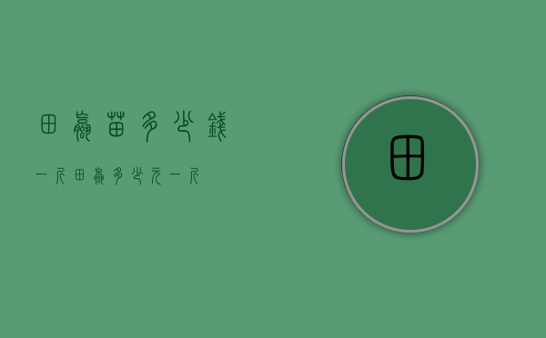 田螺苗多少钱一斤（田螺多少元一斤）