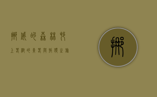 挪威的森林，村上春树的青春与孤独之旅