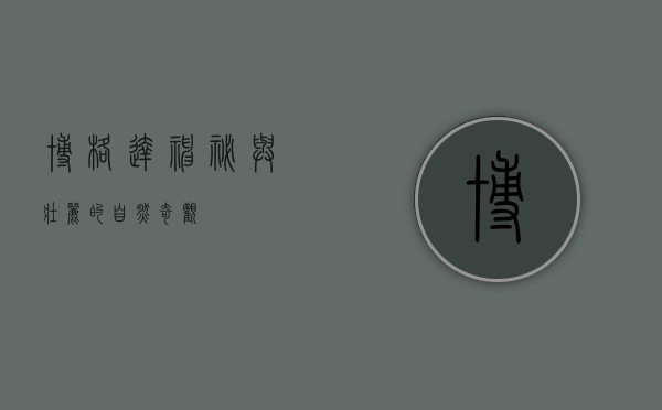 博格达，神秘与壮丽的自然奇观