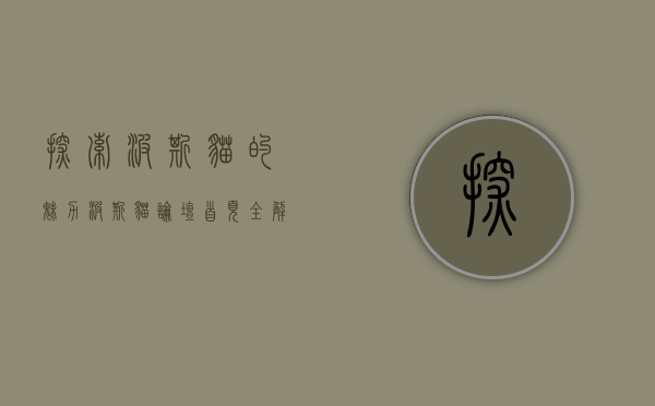 探索波斯猫的魅力，波斯猫论坛首页全解析