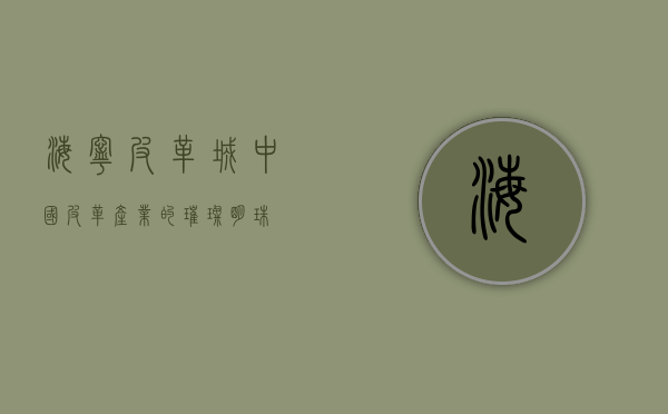 海宁皮革城，中国皮革产业的璀璨明珠