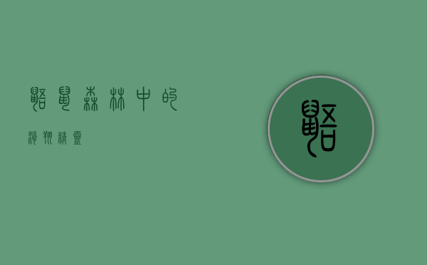 鼯鼠，森林中的滑翔精灵