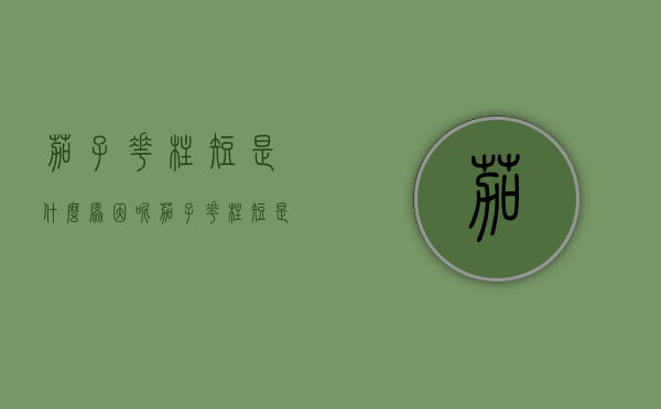 茄子花柱短是什么原因呢（茄子花柱短是什么原因造成的）（茄子长柱花中柱花短柱花的区别）