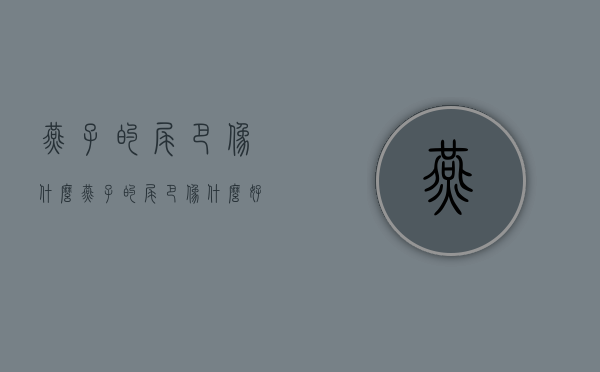 燕子的尾巴像什么（燕子的尾巴像什么好像什么）