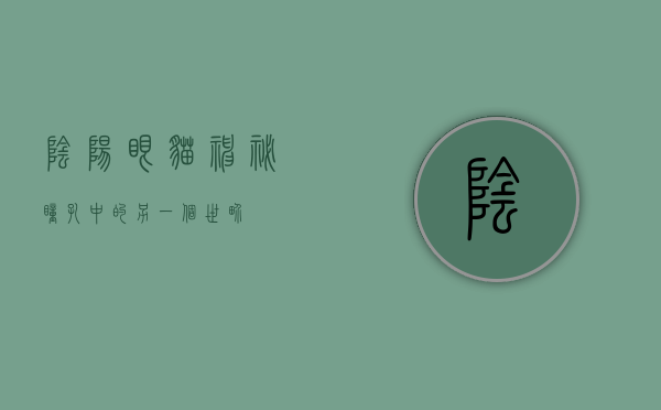阴阳眼猫，神秘瞳孔中的另一个世界
