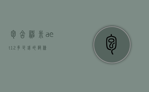 包含神米aet12多少钱的词条