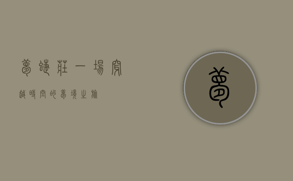 梦蝶庄，一场穿越时空的梦境之旅