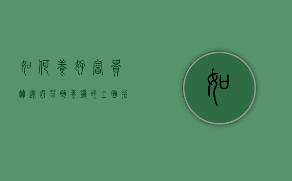 如何养好富贵竹，从选苗到养护的全面指南