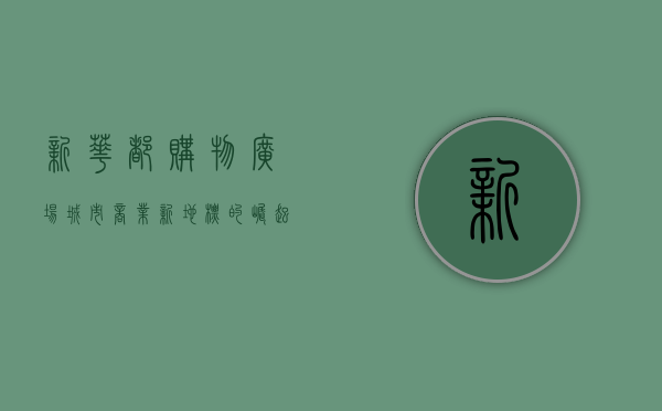 新华都购物广场，城市商业新地标的崛起与未来展望
