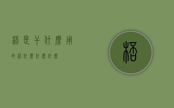 ?ㄠ?杯是干什么用的（杯什么,什么什么）