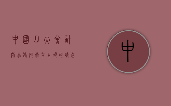 中国四大会计师事务所，行业巨头的崛起与未来展望