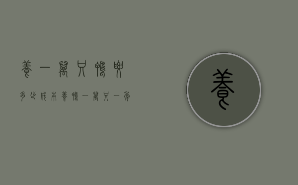 养一万只鸭要多少成本（养鸭一万只一年能弄多少钱）