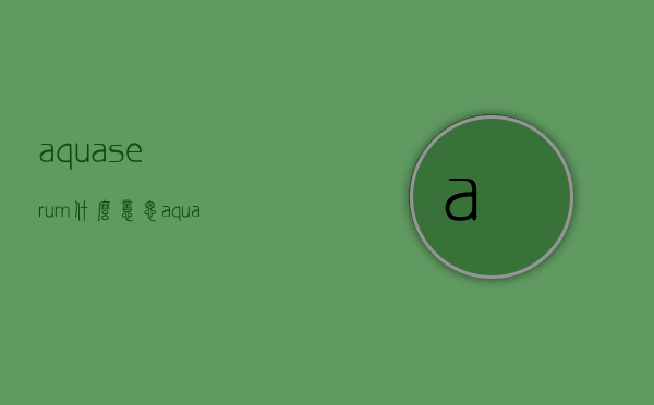 aquaserum什么意思（aquaserum是什么意思）