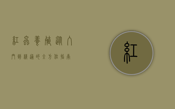 红虫养殖，从入门到精通的全方位指南