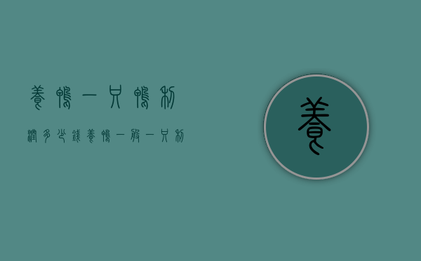 养鸭一只鸭利润多少钱（养鸭一般一只利润是多少钱）