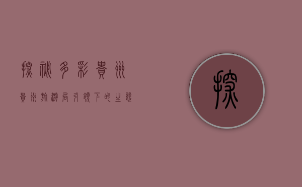 探秘多彩贵州，贵州旅游局引领下的生态与文化之旅