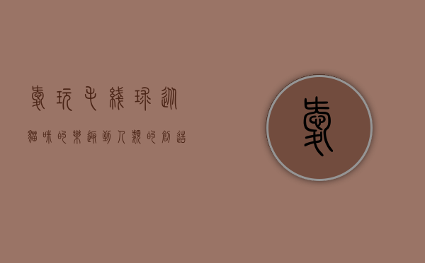 爱玩毛线球，从猫咪的乐趣到人类的创造力