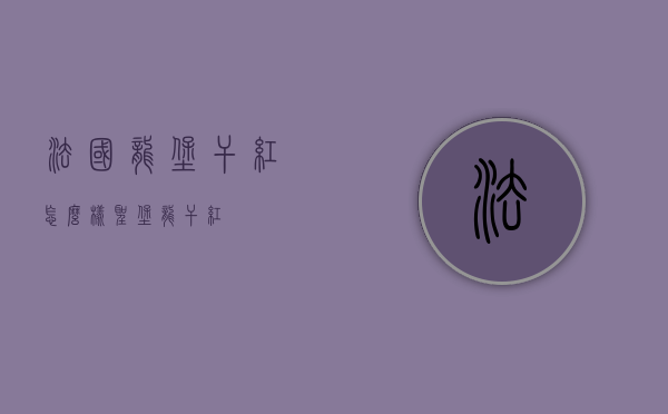 法国龙堡干红怎么样（圣堡龙干红）