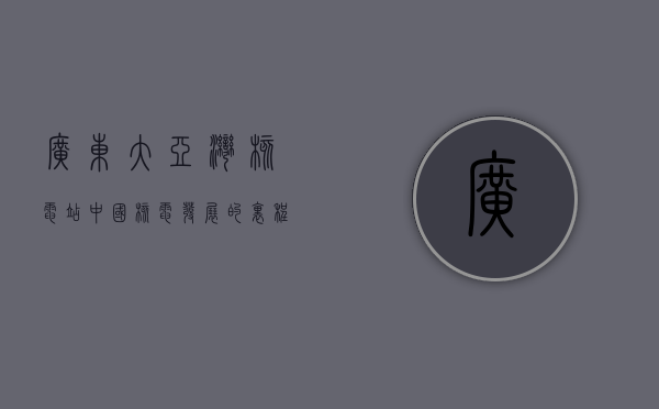 广东大亚湾核电站，中国核电发展的里程碑与未来展望