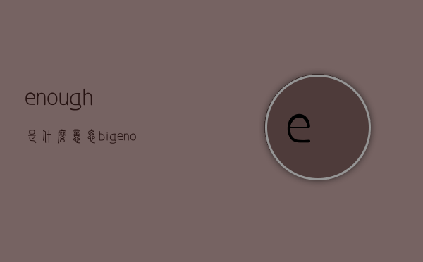 enough是什么意思（big enough是什么意思）
