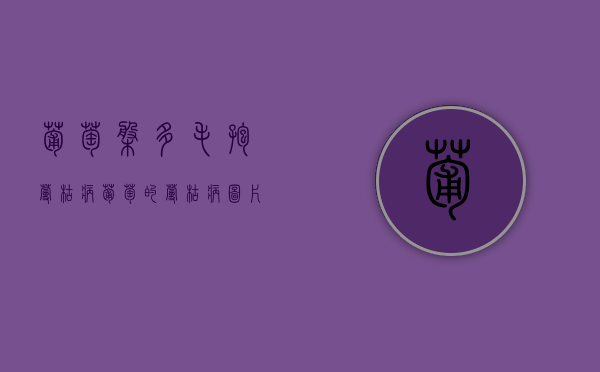 葡萄盘多毛孢蔓枯病（葡萄的蔓枯病图片）
