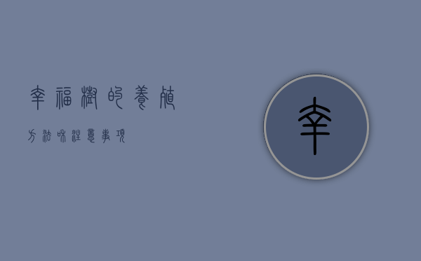 幸福树的养殖方法和注意事项