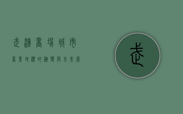 武汉商场，城市商业地标的演变与未来展望