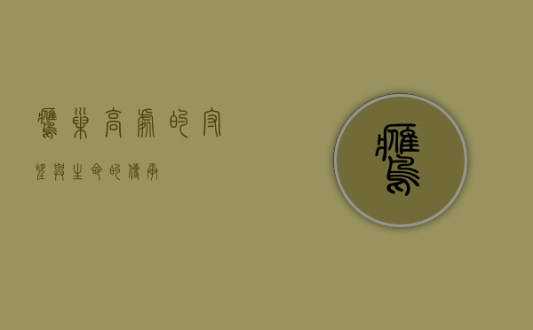 鹰巢，高处的守望与生命的传承